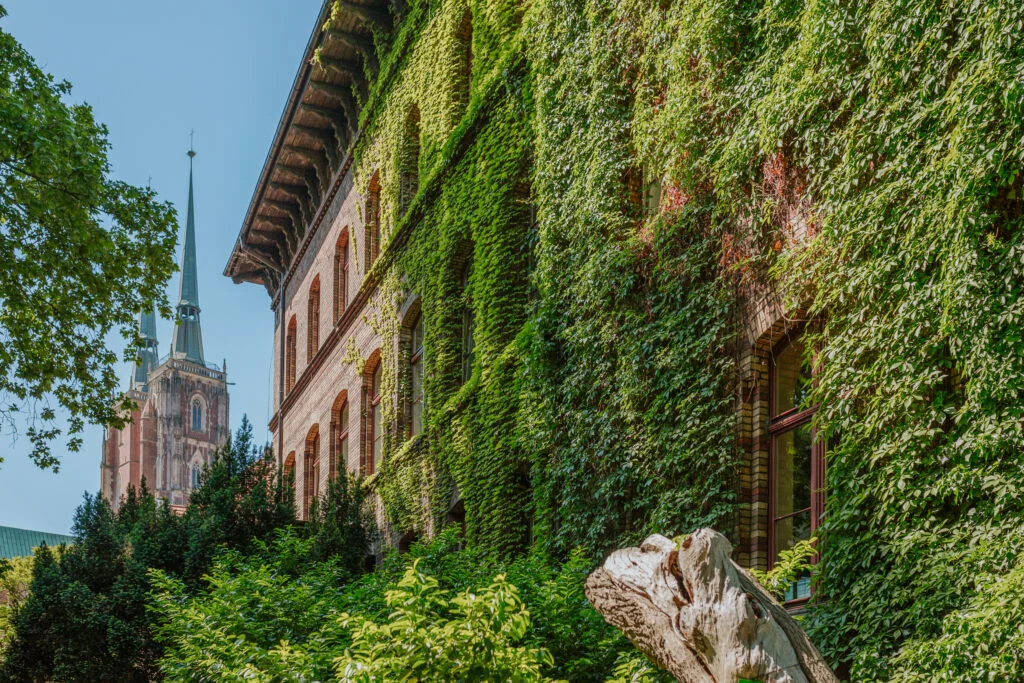 muzeum